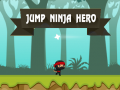 Spel Spring Ninja Held aanlyn