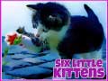 Spel Ses Klein Kitties aanlyn