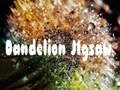 Spel Dandelion Legkaart aanlyn