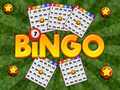 Spel Bingo Onthul aanlyn