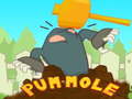 Spel Pum-Mole aanlyn