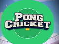 Spel Pong Krieket aanlyn