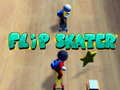 Spel Flip Skater aanlyn