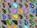 Spel S metterling Kyodai aanlyn Spel S metterling Kyodai aanlyn