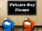 Spel Delikate Seun Ontsnapping aanlyn