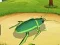 Spel Insekte Wêreldoorlog Aanlyn aanlyn