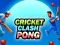 Spel Kriket Stryd Pong aanlyn