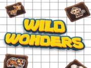 Spel Wilde wonders aanlyn