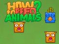 Spel Hoe om diere te voed? aanlyn