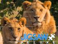 Spel Jigsaw Deluxe aanlyn