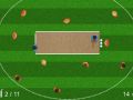 Spel Quicket aanlyn