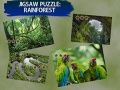 Spel Legpuzzel Reënwoud aanlyn