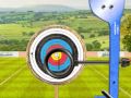 Spel Boogskiet Wêreldtoer aanlyn Spel Boogskiet Wêreldtoer aanlyn