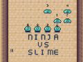 Spel Ninja teen Slime aanlyn