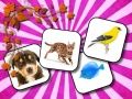 Spel Diere Geheue aanlyn