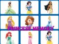 Spel Prinsesgeheue aanlyn