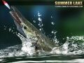 Spel Sommermeer 1.5 aanlyn Spel Sommermeer 1.5 aanlyn