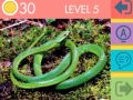 Spel 15 Beeld Quiz aanlyn