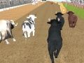 Spel Woedende Bul Wedren aanlyn
