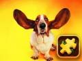 Spel Grappige Honde-puzzel aanlyn