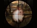 Spel Klassieke Jakkals Sniper Jag 2019 aanlyn
