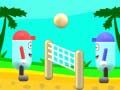 Spel Strandvlugbal aanlyn Spel Strandvlugbal aanlyn