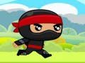 Spel Ninja aanlyn