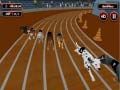 Spel Malende Hondrenrenkoors aanlyn