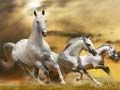 Spel Hardloopende Perde Gly aanlyn