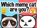 Spel Watter meme-kat is jy? aanlyn