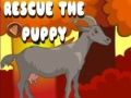 Spel Red die hondjie aanlyn