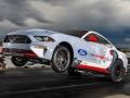 Spel Ford Mustang Cobra Jet Gly aanlyn