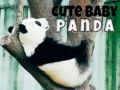 Spel Pragtige Baba Panda aanlyn