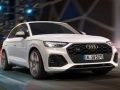 Spel Audi SQ5 TDI Gly aanlyn