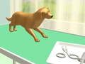 Spel Pootsorg aanlyn