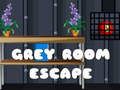 Spel Ontsnap uit die Grys Kamer aanlyn