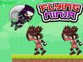 Spel Vlieënde Ninja aanlyn