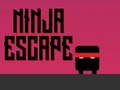 Spel Ninja ontsnap aanlyn
