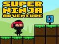 Spel Super Avontuur Ninja aanlyn
