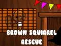 Spel Bruin Eekhorink Rescue aanlyn