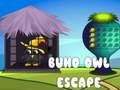 Spel Buho Uil Ontsnapping aanlyn