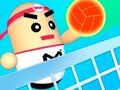 Spel 3D Wonderlike Volleybal aanlyn