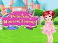Spel Prinses Huis Schoonmaak aanlyn