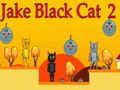 Spel Jake Swart Kat 2 aanlyn