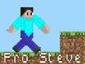 Spel Pro Steve aanlyn