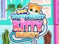 Spel Dokter HoneyBerry Kitty Chirurgie aanlyn
