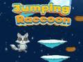 Spel Springende Raccoon aanlyn