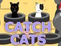 Spel Vang Katte aanlyn
