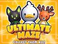 Spel Uiteindelike Labirint! Versamel hulle alles! aanlyn