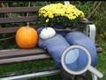 Spel Herfs Tuin: Vind 100 Skoenlapper aanlyn